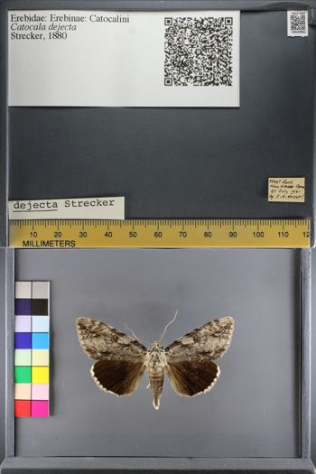 Media type: image;   Entomology 639961